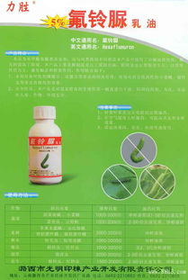 綠色農業(yè)新篇章 潞西市光明印楝產業(yè)的多元化產品布局與生態(tài)承諾